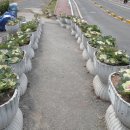 울산해양박물관 이미지