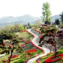 꽃동산 티스토리