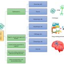 Re:회춘(rejevenation) , 세포를 젊게 되돌리는 인자 야마나카 인자(Yamanaka Factors) 이미지