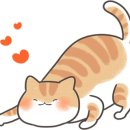 편하개 놀다가냥 이미지