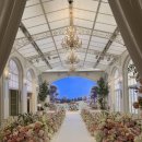 제니스파크요양병원 | 결혼준비 기록 02 | 강서구 웨딩홀 투어 후기 – 더뉴컨벤션 vs 보타닉파크웨딩 (2026.01 계약완료)