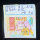 썸퍼플