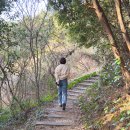 제지기오름 | 제주 서귀포 제지기오름 (소요 시간 및 난이도)