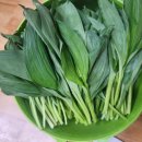 검은돌 | 농라. 포천검은돌배기 줄기명이 최고!!