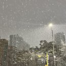 밥맛나는세상 송강점 | [일상] 현구의 12월 총정리 : 멘탈 탈탈 털렸지만 그래도 감사로 마무리한 12월🙏🏻