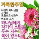 주일아침에 드리는 선교편지 이미지