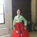 녹의홍상 Daum카페