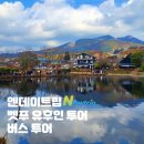 기타큐슈 고쿠라 맛집 혼자 가도 좋은 타코쨩 술 무제한 가성비 술집 후기
