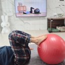 짐볼밴드 | 임산부 짐볼 멜킨 그랜드 짐볼 + 루프밴드