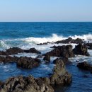 전일카마스터 이미지