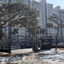 한정식 소나무 앞 이미지