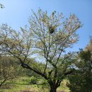 효자공원봉안원 이미지