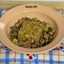 하나피드 | 강아지 화식 추천, 내추럴피드! 솔직후기😆