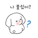 올모스트선데이 네이버블로그