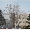 일신테크(주) 이미지