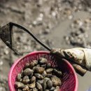 만나민박 이미지