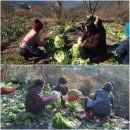 성규농장 이미지