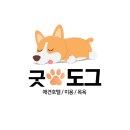 착한개조아 이미지