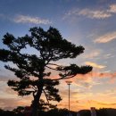 김동훈한의원 이미지