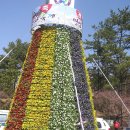 2010영암왕인문화축제에 다녀와서 / 재광영암군향우회에 올린 사진을 그대로 올립니다 이미지