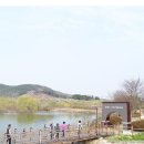 소풍길 들꽃산책 이미지