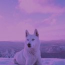 송도반려동물약국 이미지