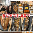 달빛에 구운 고등어(모현점) | 익산맛집추천 달빛에 구운 고등어 모현점 생선의 효능 알아보기