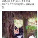 대박만두 - 천안시 동남구 청수11로 13-11 | 대박만두