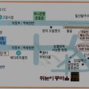 콩이야기 이미지