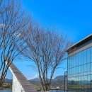 침곡역 | [전남 곡성] 곡성 예쁜카페 “씨엘로957” 천국의계단 호수뷰 포토존카페