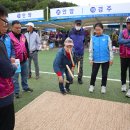 제32회 안동권씨 전국체육대회 체육 경기 펼쳐 (4) - 1 이미지