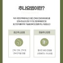 정도한의원 티스토리