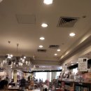 HELIO GYM | 한풀이 세계여행 +22(이집트/카이로/Star city 쇼핑몰/우버 택시/자말렉 방문/커피빈/카이로 한식당...