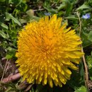 거제하우스 이미지