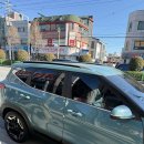 프린세스 캣 이미지