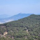 곡성-116 이미지