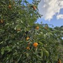 천석농장 이미지