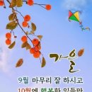 "'영장근린공원' 일부와 '위례공원' 맨발 '황톳길' 걷기"＜2024.09.30(월)＞ 이미지