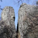 인태농장 이미지