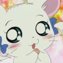 본궁