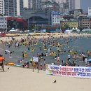 명성갈비유통 이미지