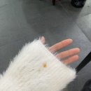 가산어시장 | 가산디지털단지 횟집 술집 가산어시장 내돈내산 솔직후기