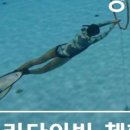 쉼프리다이빙