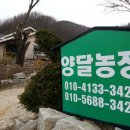 양달농장 이미지