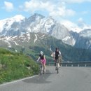 자전거 탄 풍경 카카오 검색결과