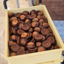 떡바람 | 잠실 버터떡 팝업 후기｜루브르바게트 위치 가격 웨이팅 총정리