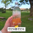 오름 | 임산부 탄산수 제로음료 추천 탄산오름 후기 가격 미네랄워터