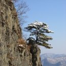 한솔산행안내 11월30일(다섯째목요일) 경북의성 금성산530m~비봉산671m.200대명산. 이미지