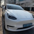 제로디펙트 | 테슬라 2년 차, 처음 맡긴 디테일링 세차 후기 (새 차 됨)