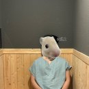 베스트원사우나 | 광주 여행 첨단호텔 조식 사우나 후기 | 광주호캉스 감성 숙소 추천